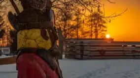 Zima i zachód słońca w porcie Tło Dla Mew - zdjęcie 27