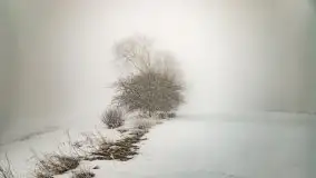 Poranne i zimowe mgły w okolicach Kruklanek - zdjęcie 15