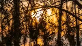 Zachód słońca nad jeziorem Kruklin, luty 2021 - zdjęcie 38