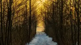 Zimowy zachód słońca nad jeziorem Śniardwy - zdjęcie 11