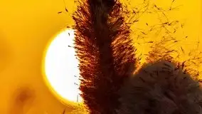 Zimowy zachód słońca nad jeziorem Śniardwy - zdjęcie 19