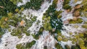 Zimowe Śniardwy i Okartowo, luty 2021 r. - zdjęcie 9