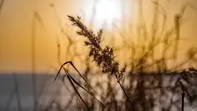 Zimowe Śniardwy i Okartowo, luty 2021 r. - zdjęcie 11