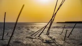 Zimowe Śniardwy i Okartowo, luty 2021 r. - zdjęcie 2