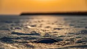 Zimowe Śniardwy i Okartowo, luty 2021 r. - zdjęcie 16