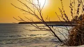 Zimowe Śniardwy i Okartowo, luty 2021 r. - zdjęcie 17