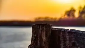 Zimowe Śniardwy i Okartowo, luty 2021 r. - zdjęcie 41