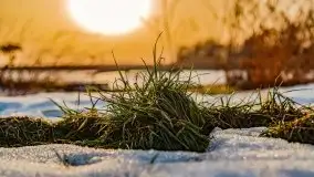 Zimowe Śniardwy i Okartowo, luty 2021 r. - zdjęcie 35