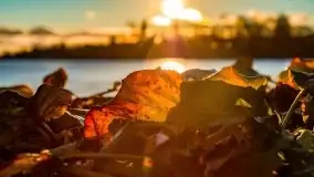 Zimowy wieczór i zachód słońca w Rynie, luty 2021 - zdjęcie 22