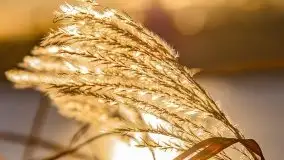 Zimowy wieczór i zachód słońca w Rynie, luty 2021 - zdjęcie 10