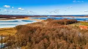 Szukamy wiosny - znajdujemy pierwsze oznaki - zdjęcie 13