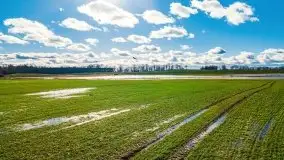 Szukamy wiosny - znajdujemy pierwsze oznaki - zdjęcie 23