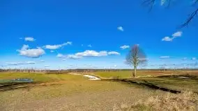 Szukamy wiosny - znajdujemy pierwsze oznaki - zdjęcie 12