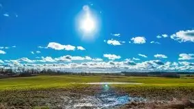 Szukamy wiosny - znajdujemy pierwsze oznaki - zdjęcie 41