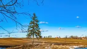 Szukamy wiosny - znajdujemy pierwsze oznaki - zdjęcie 49