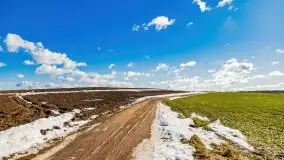 Szukamy wiosny - znajdujemy pierwsze oznaki - zdjęcie 37