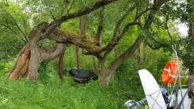 Jak nasz region widzą obcokrajowcy? - zobacz zdjęcia Johna Whelana - zdjęcie 21