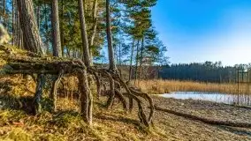 Przedwiosenny zachód słońca nad jeziorem Gołdopiwo i Żabiniec - zdjęcie 5