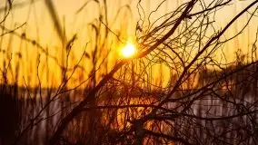 Przedwiosenny zachód słońca nad jeziorem Gołdopiwo i Żabiniec - zdjęcie 33