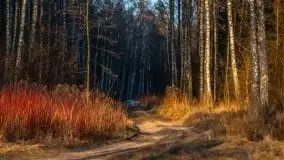 Marcowy zachód słońca nad jeziorem Dejguny - zdjęcie 29