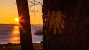 Marcowy zachód słońca nad jeziorem Dejguny - zdjęcie 57