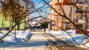 Zimowe Giżycko, luty 2021 - zdjęcie 24