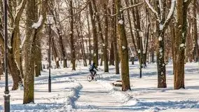 Zimowe Giżycko, luty 2021 - zdjęcie 22