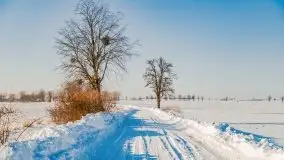 Zimowa sceneria okolic Kętrzyna, luty 2021 - zdjęcie 4