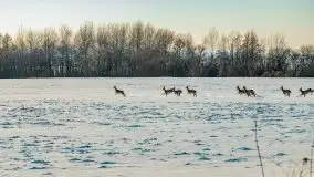 Zimowa sceneria okolic Kętrzyna, luty 2021 - zdjęcie 6