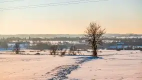 Zimowa sceneria okolic Kętrzyna, luty 2021 - zdjęcie 23