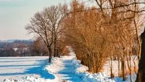 Zimowa sceneria okolic Kętrzyna, luty 2021 - zdjęcie 8