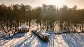 Las miejski w Giżycku, zimowa odsłona, luty 2021 r. - zdjęcie 37