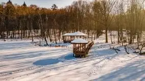 Las miejski w Giżycku, zimowa odsłona, luty 2021 r. - zdjęcie 48