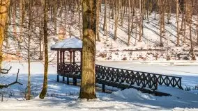 Las miejski w Giżycku, zimowa odsłona, luty 2021 r. - zdjęcie 50