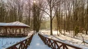 Las miejski w Giżycku, zimowa odsłona, luty 2021 r. - zdjęcie 34