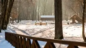 Las miejski w Giżycku, zimowa odsłona, luty 2021 r. - zdjęcie 53