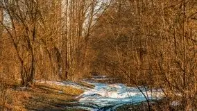 Marcowy zachód słońca nad jeziorem Kisajno - zdjęcie 34