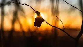 Marcowy zachód słońca nad jeziorem Kisajno - zdjęcie 37