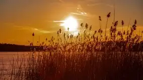 Marcowy zachód słońca nad jeziorem Kisajno - zdjęcie 31