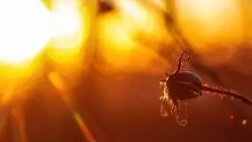 Marcowy zachód słońca nad jeziorem Kisajno - zdjęcie 21