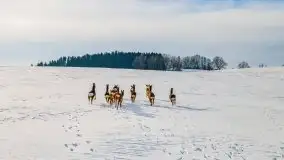 Mazury u progu wiosny, ujęcia z różnych miejsc - zdjęcie 30