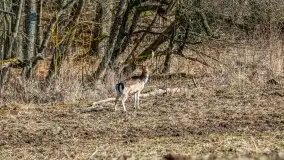 Mazury u progu wiosny, ujęcia z różnych miejsc - zdjęcie 67