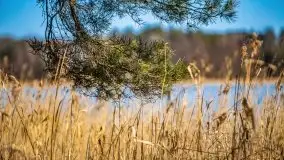 Mazury u progu wiosny, ujęcia z różnych miejsc - zdjęcie 42