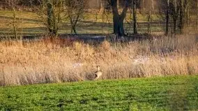 Mazury u progu wiosny, ujęcia z różnych miejsc - zdjęcie 54