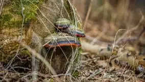 Mazury u progu wiosny, ujęcia z różnych miejsc - zdjęcie 46