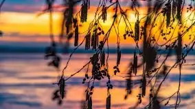 Za takie wschody słońca kochamy Mazury - zdjęcie 25