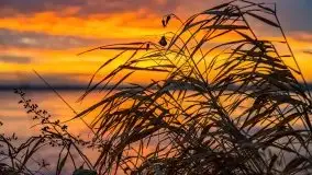 Za takie wschody słońca kochamy Mazury - zdjęcie 45