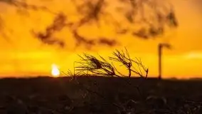 Za takie wschody słońca kochamy Mazury - zdjęcie 59