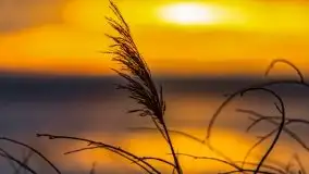 Za takie wschody słońca kochamy Mazury - zdjęcie 63