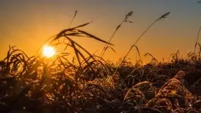 Miłośnicy Mazur - przedwiośnie na zdjęciach Staszka Sielewicza - zdjęcie 35